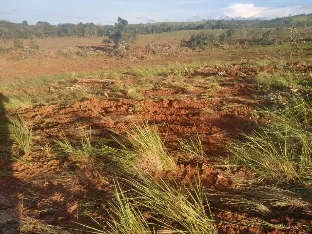 Investimento Agrícola em Porto Nacional: Fazenda com Alta Capacidade Produtiva!