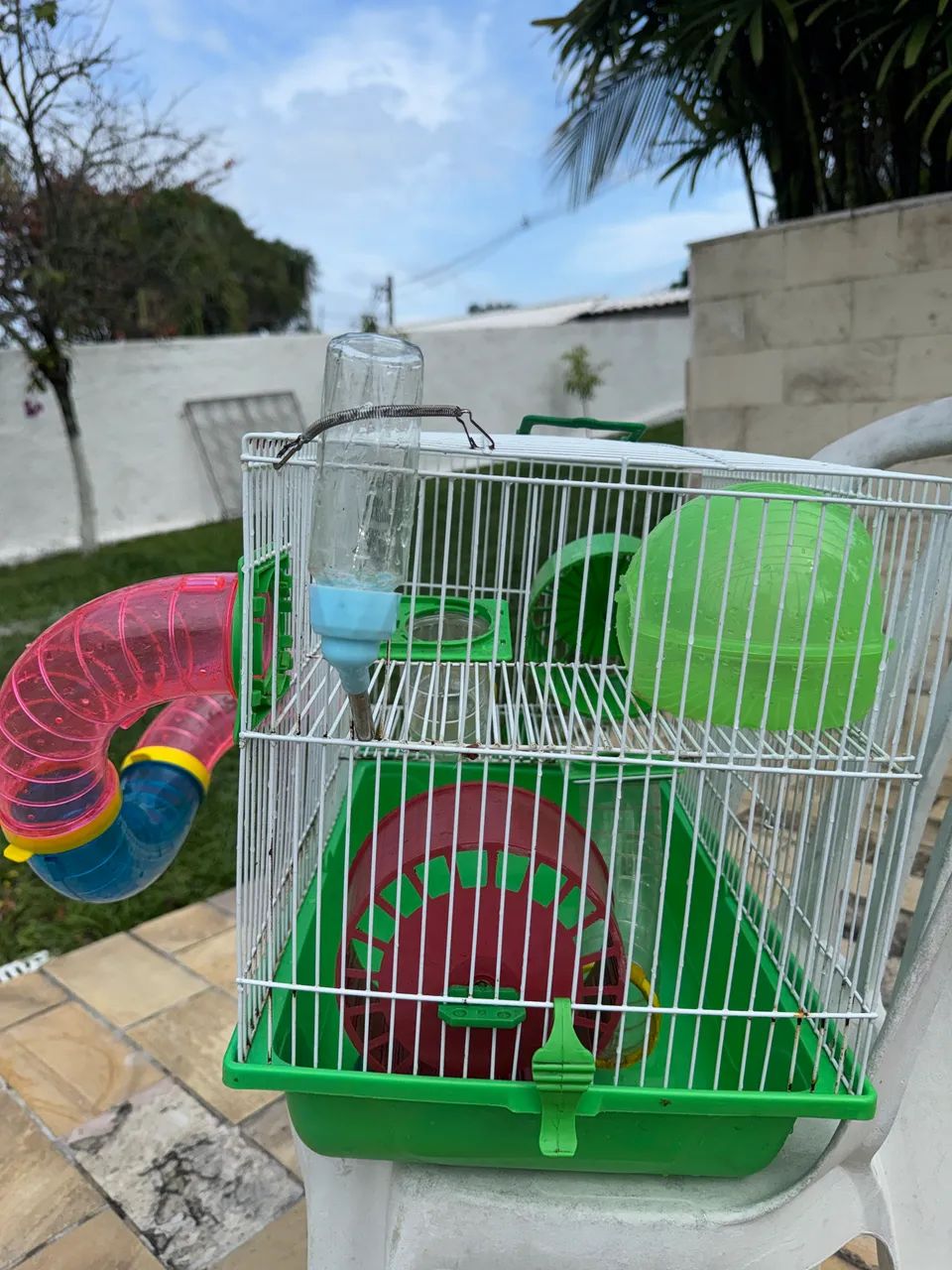 Gaiola para Hamster ou Porquinho da Índia - Foto 3