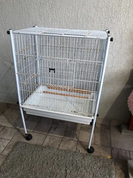 Gaiola para calopsitas 