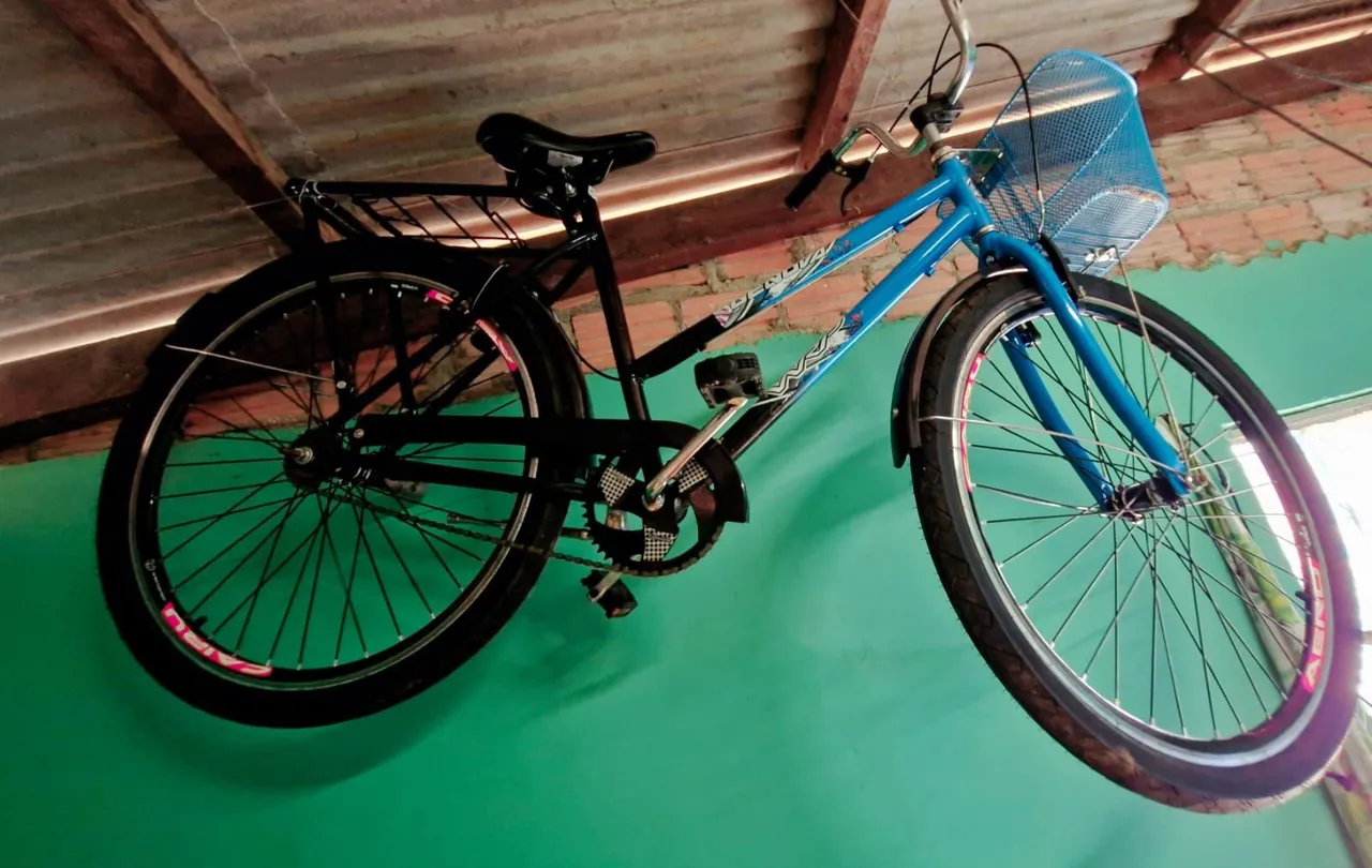 Bicicleta Aro 26