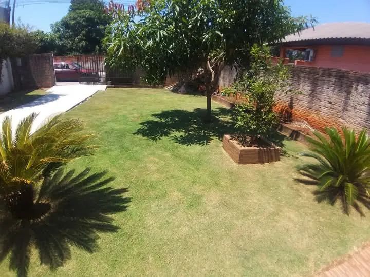 Jardineiro disponível !!!!