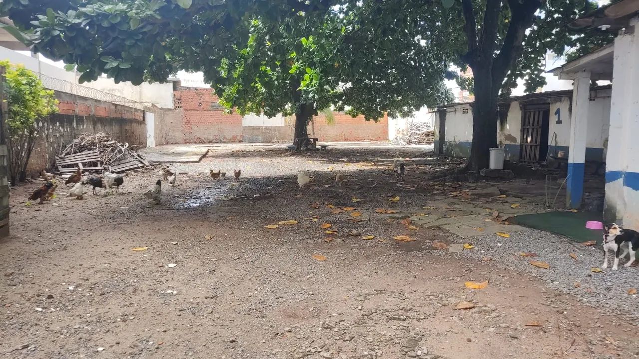 Terreno Padrão, Armação - Foto 3