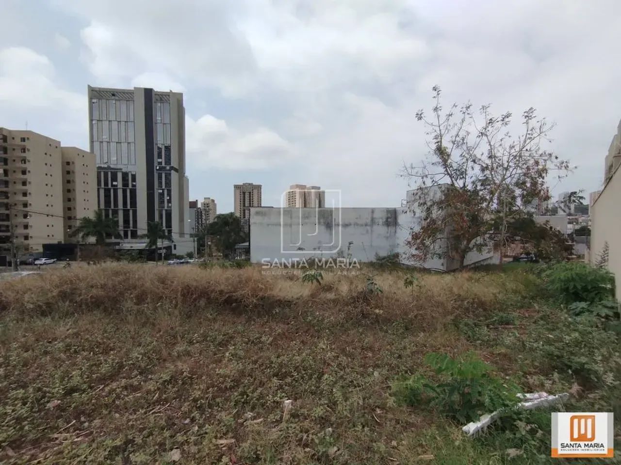 Terreno (terreno normal) - Foto 2