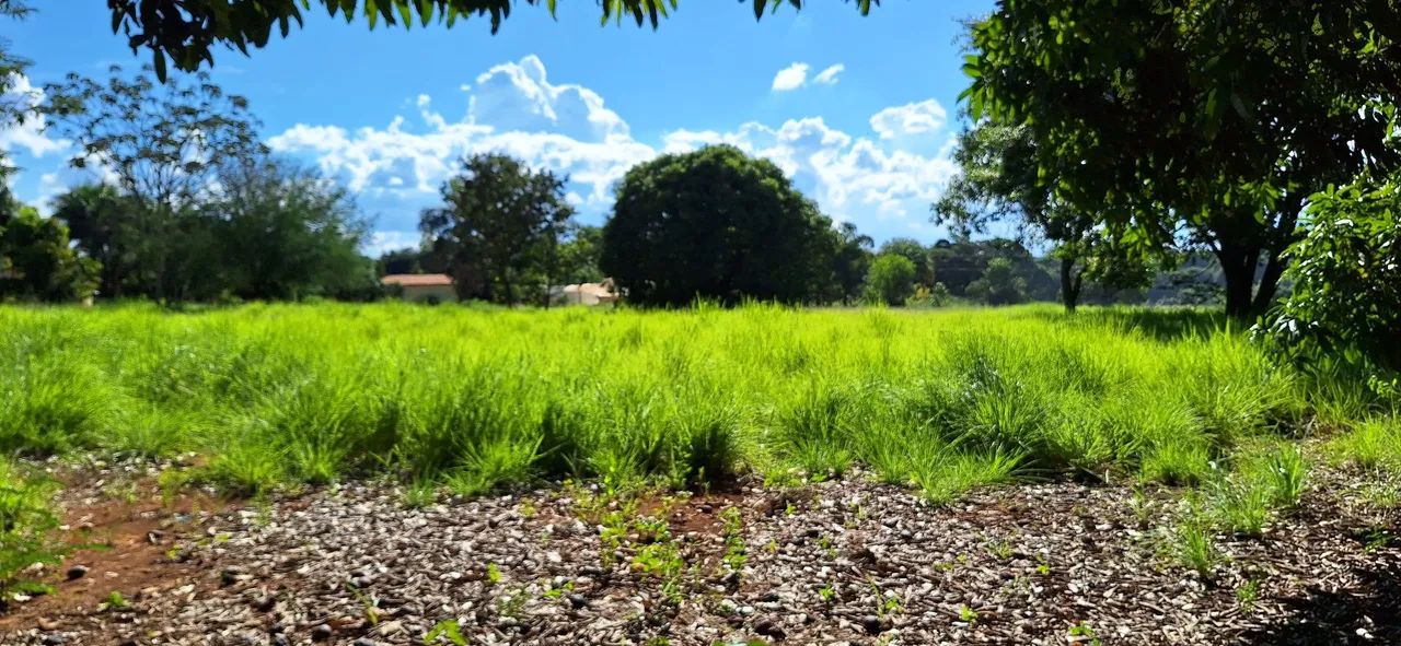 Chácara maravilhosa no Rajadinha-DF. PERTINHO DO ASFALTO . - Foto 11