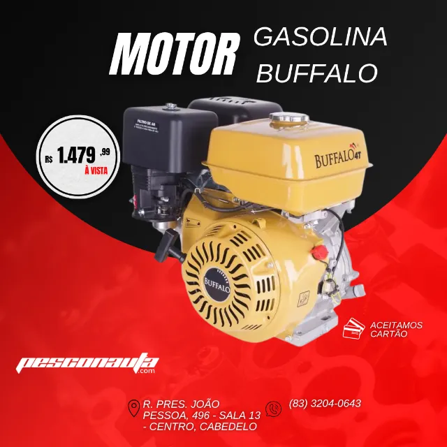 MOTOR BUFALLO