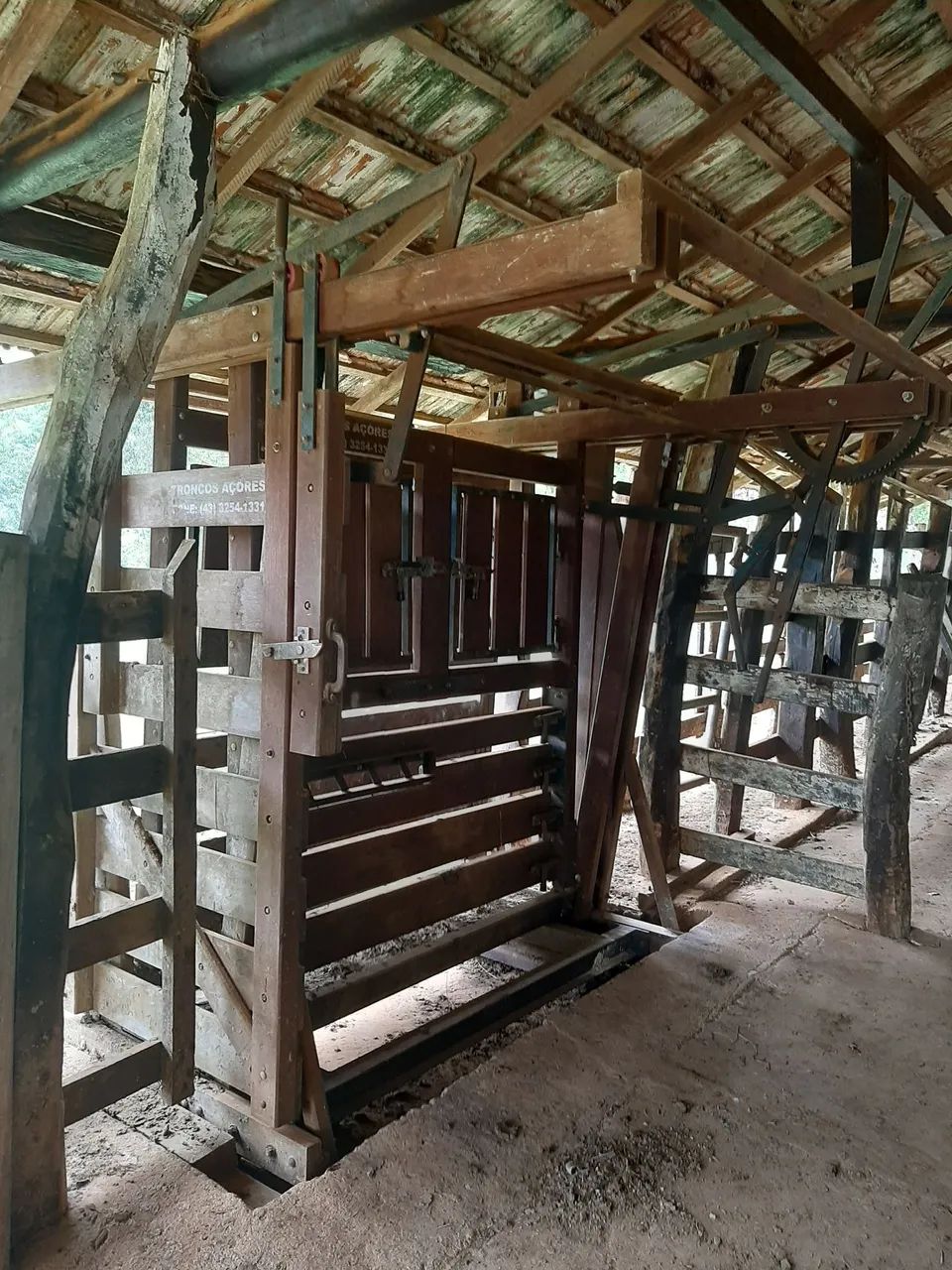 Balança com brete para gado - Foto 2