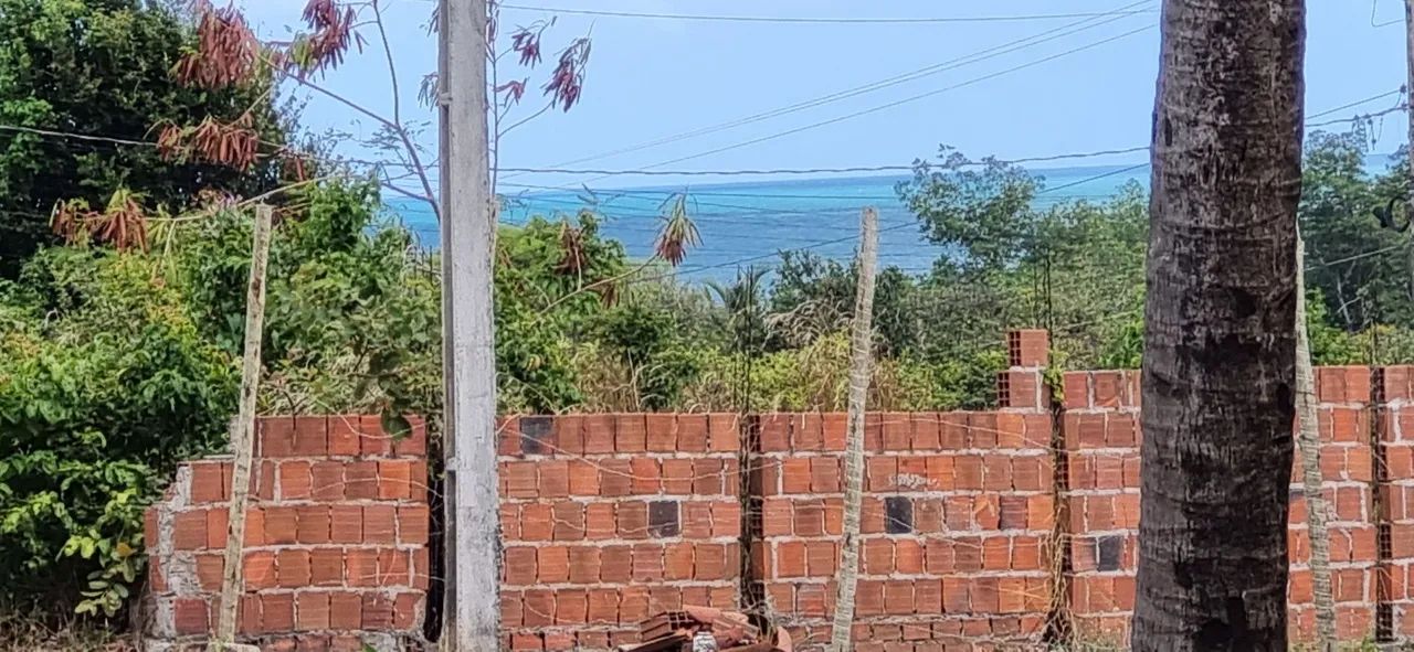 Foto - João Pessoa - Cuiá