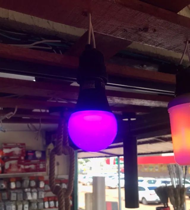 Lâmpada LED luz negra TASCHIBRA  - Foto 3