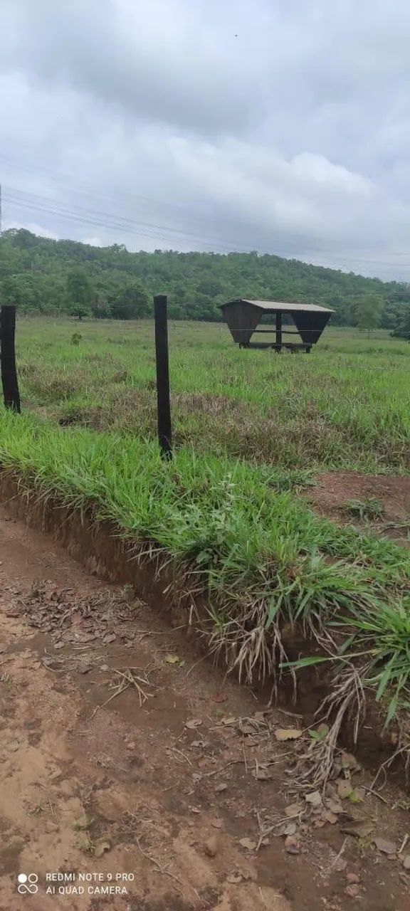 Faz 61. 5 Alq  45 Alq de Pasto próx Paraíso Do Tocantins 