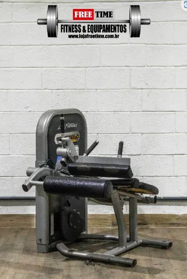 Cadeira flexora life fitness usado
