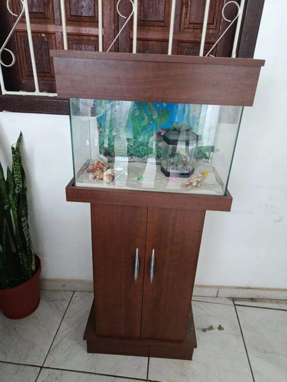 Aquário - Foto 2