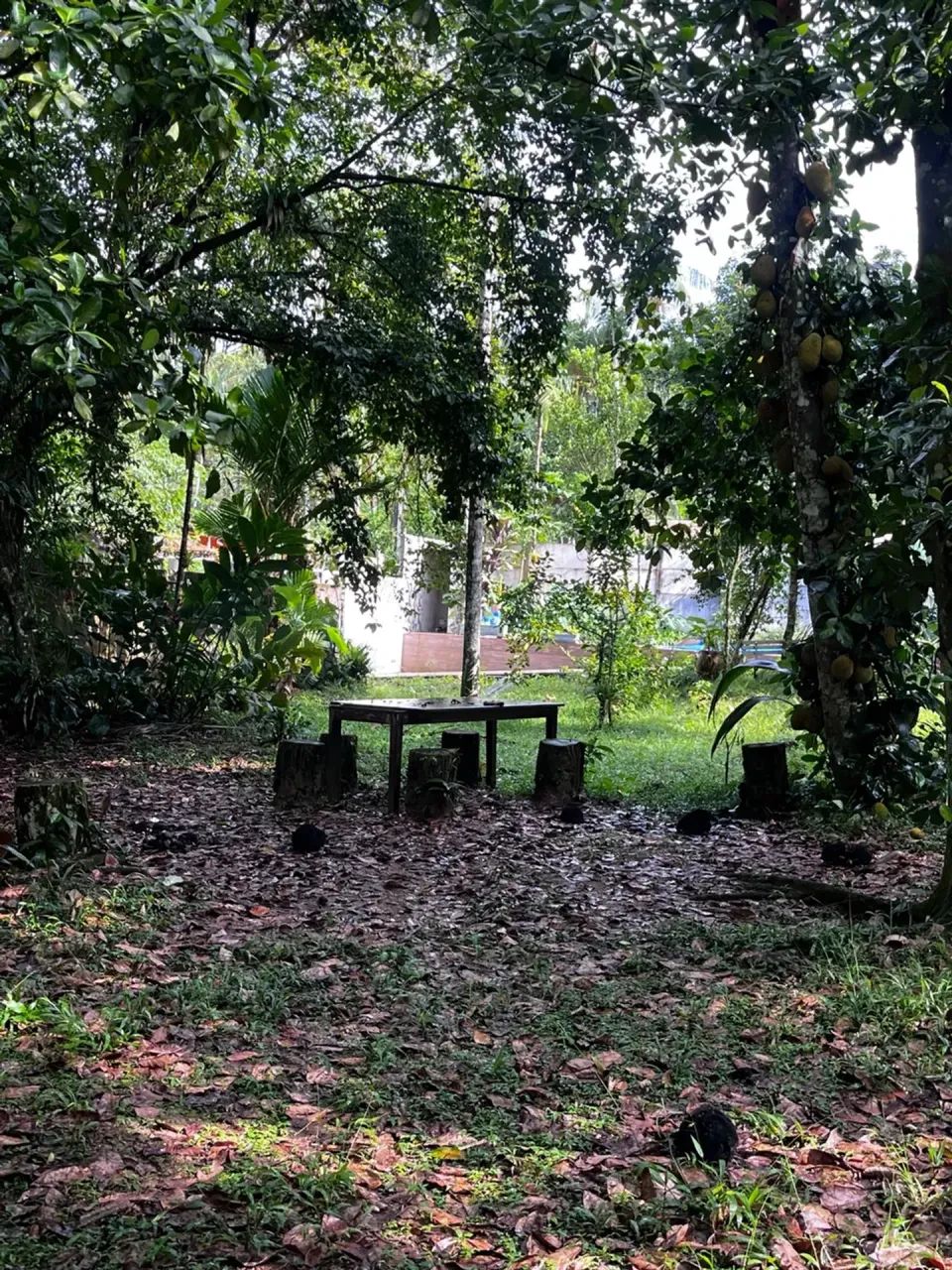 Sitio São Joao em Bertioga - Foto 5