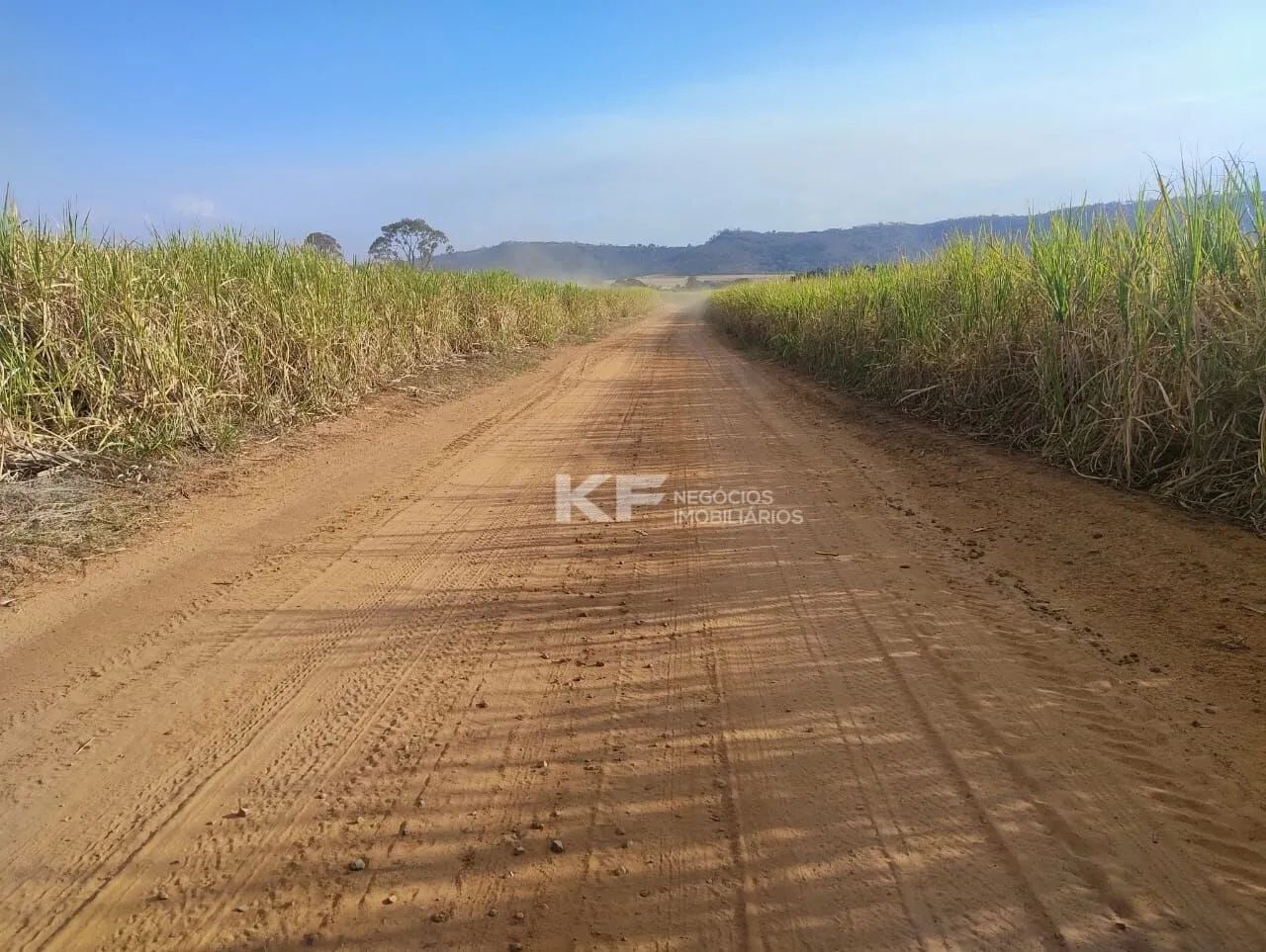Fazenda a Venda em Mococa- SP - Foto 2