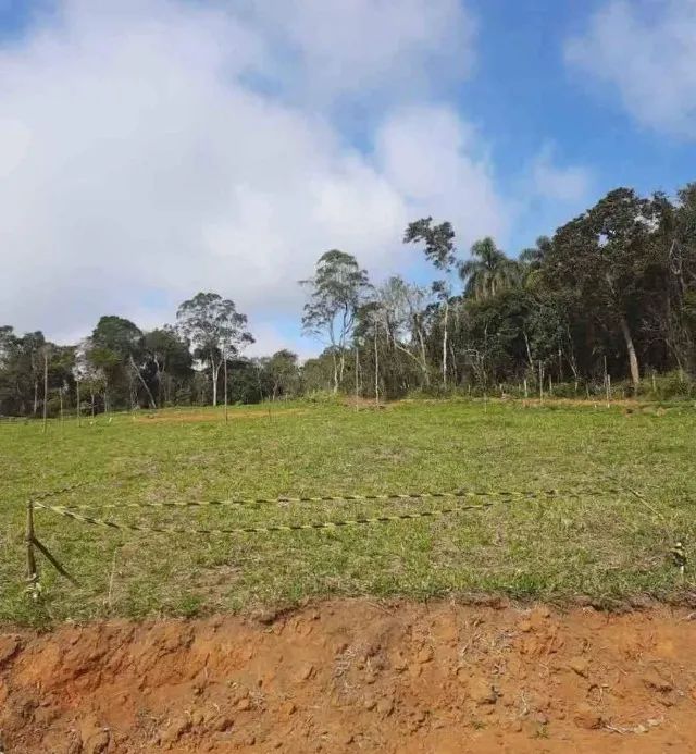 Terreno 5x25  - Foto 2