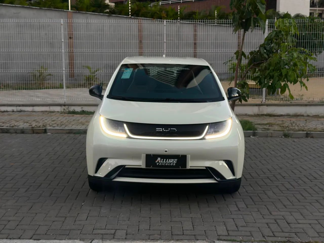 BYD Dolphin Mini (Elétrico) 2027 - Foto 4