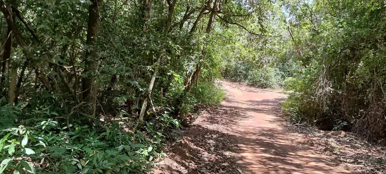 chacara em Aragoiania - Foto 4