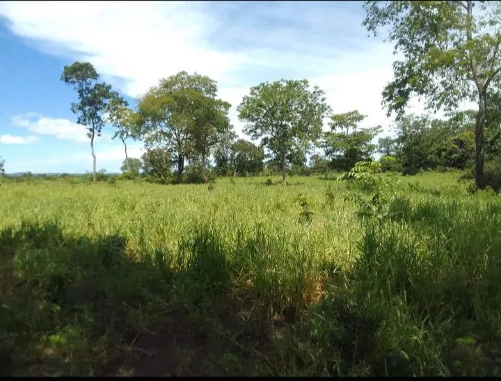 Sítio à Venda - Ótima Oportunidade! - Foto 3