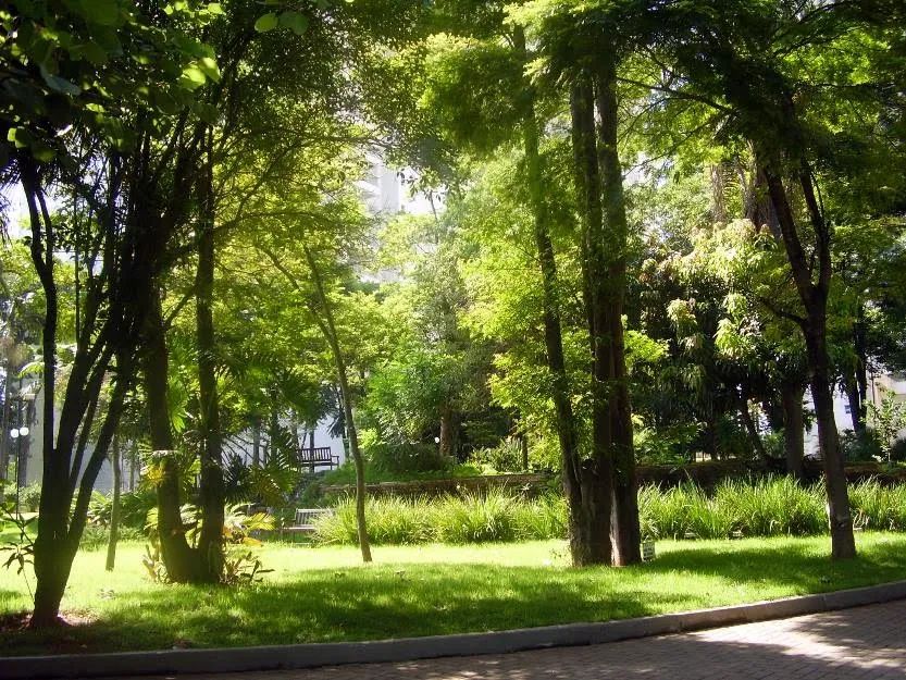 Apartamento em Jardim WANDA - Taboão da Serra - Foto 3