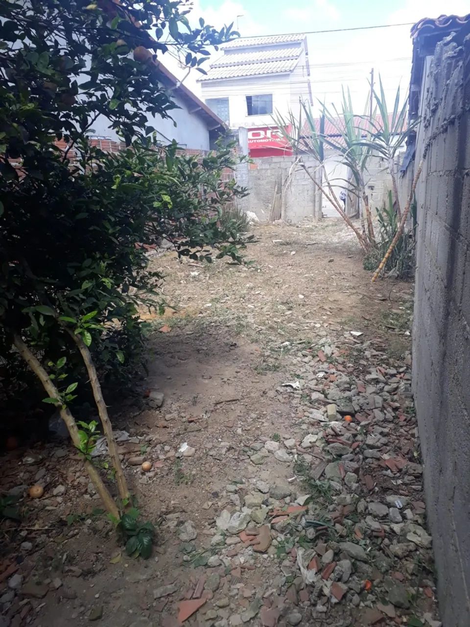 Terreno com casa - Foto 5