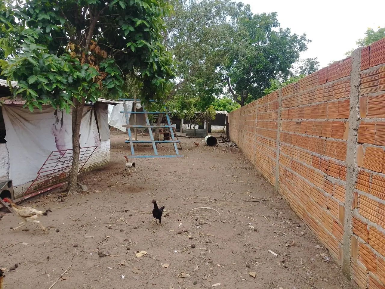 2 LOTES SETOR DE CHÁCARA VENDO OU TROCO EM CASA - Foto 5