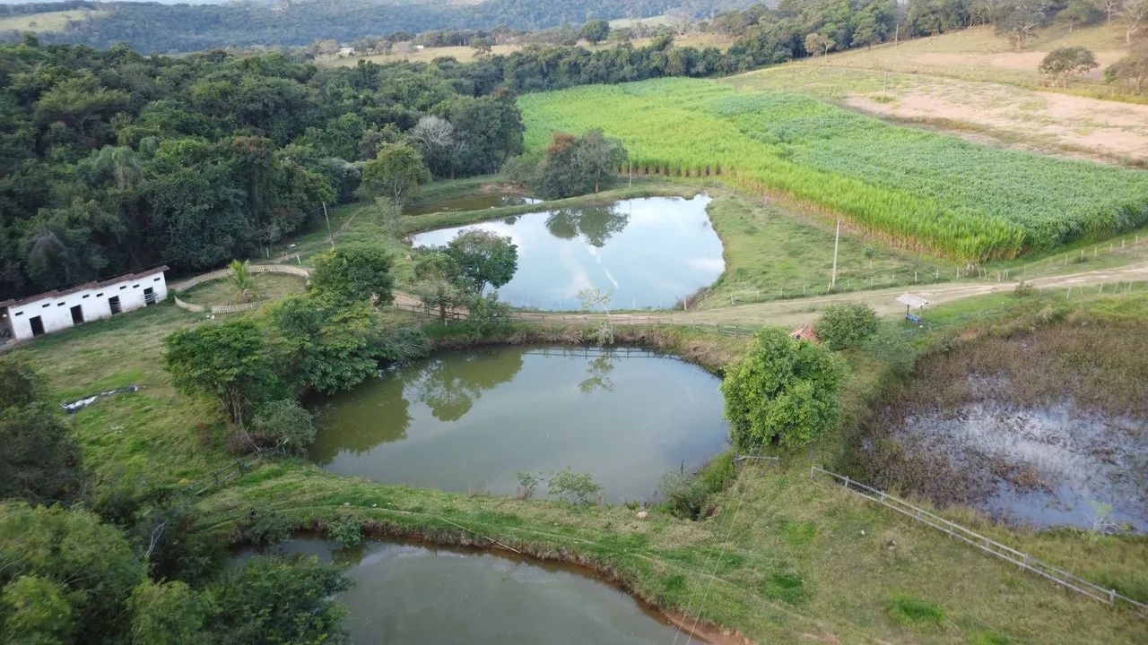 Excelente fazenda 63 há em Cláudio  - Foto 3