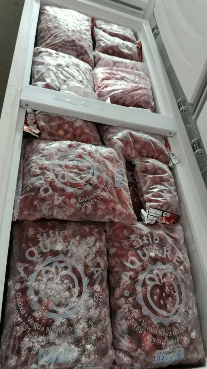 Freezer Gelopar GHBS-510  - Foto 5