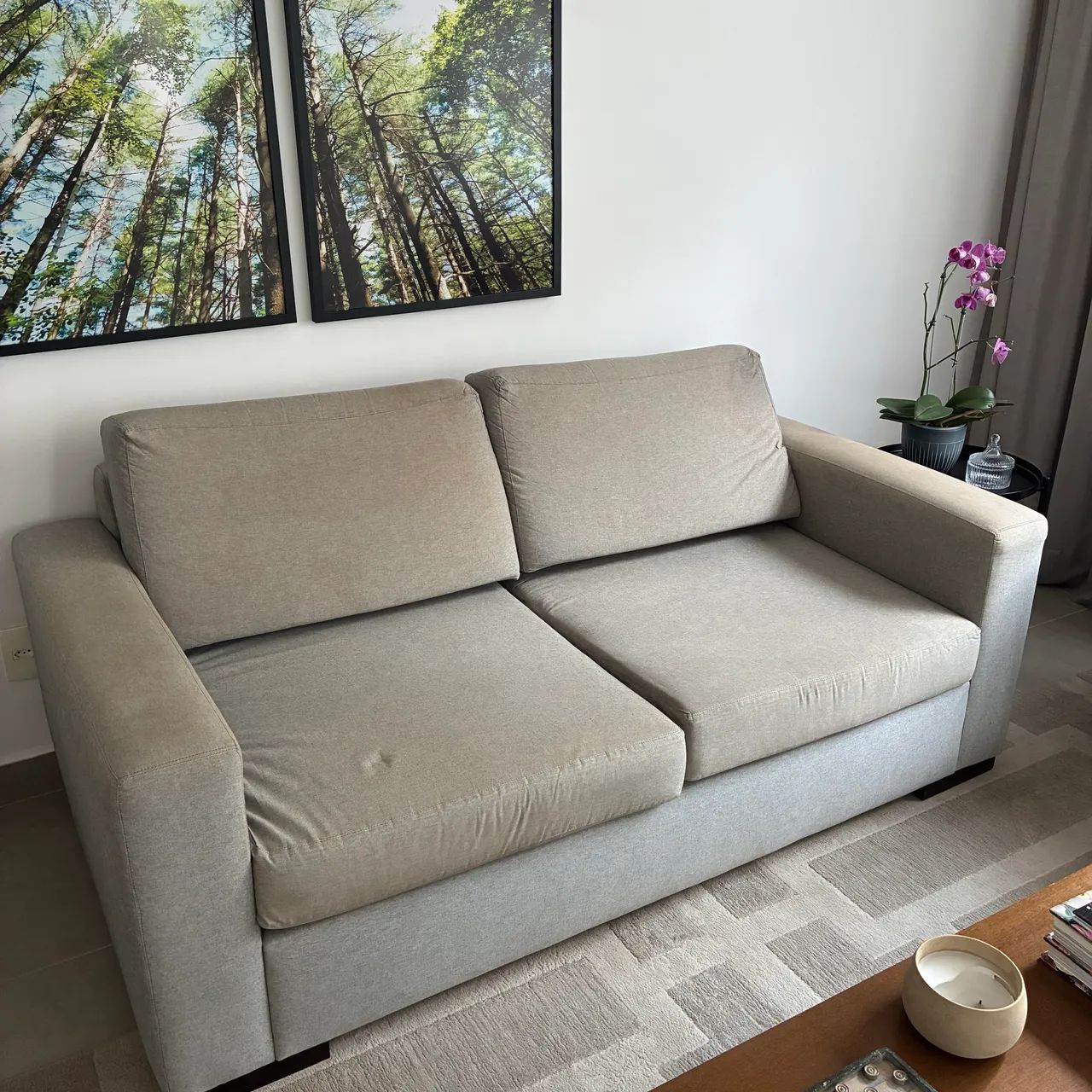 Sofá 2 lugares + puff 