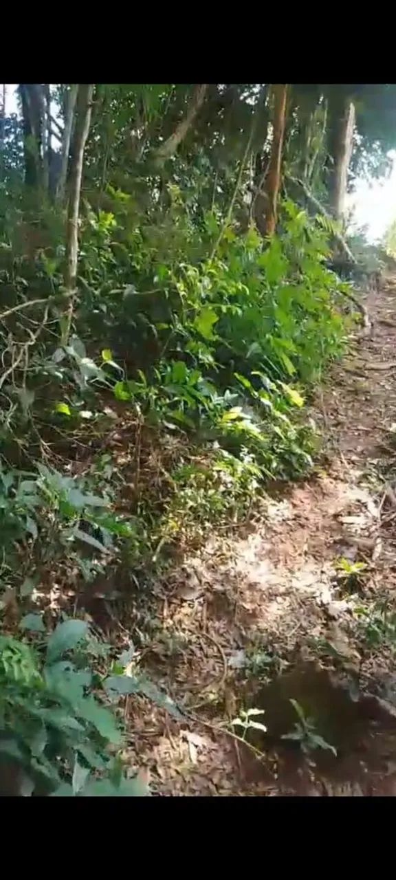 Terreno em pilar do sul - Foto 5