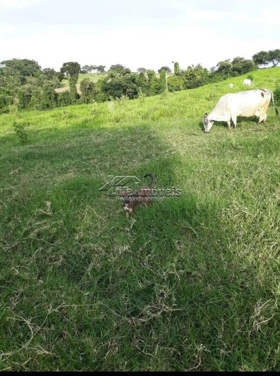 Area estratégica a venda em Monte Mor SP - Foto 2