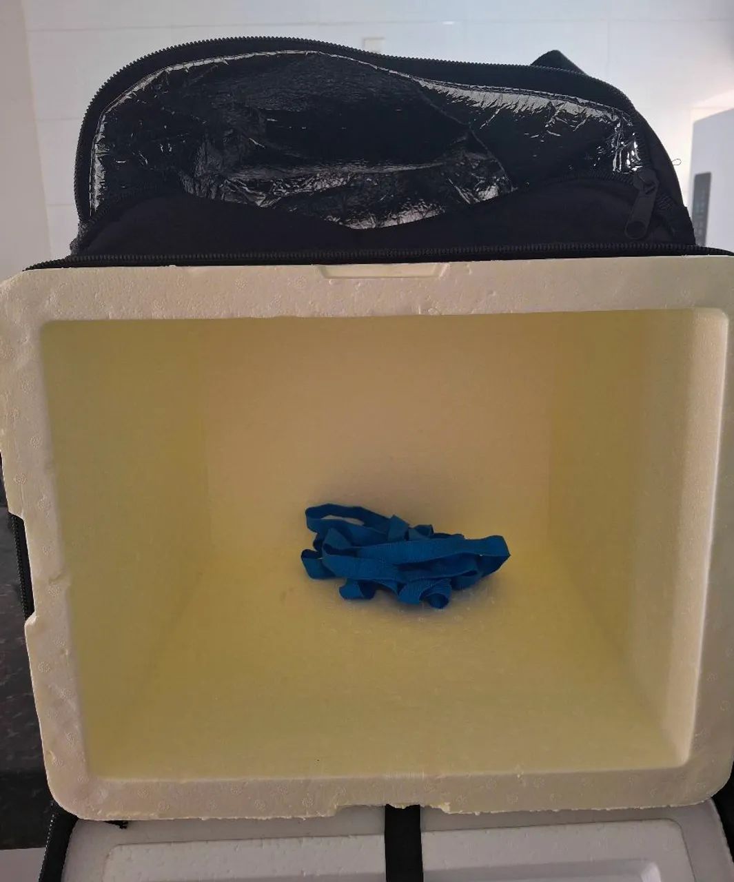 Bag para entregas  - Foto 2