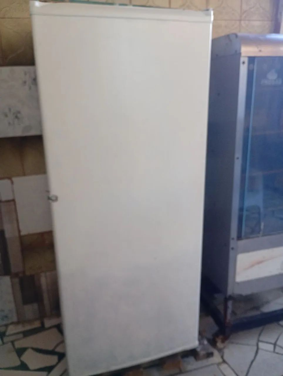 Assador de frango + freezer - Foto 2