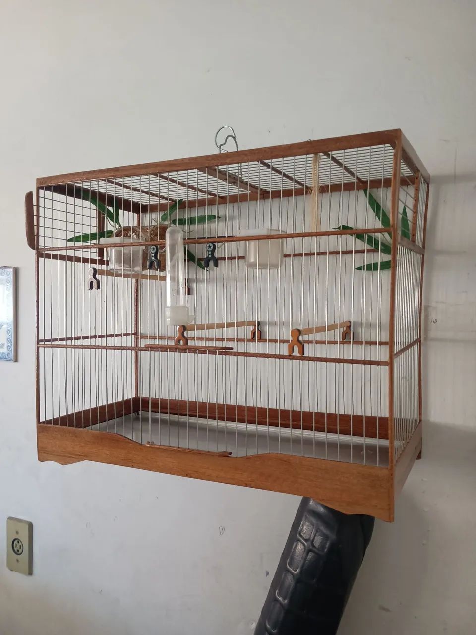 Animais e acessórios 