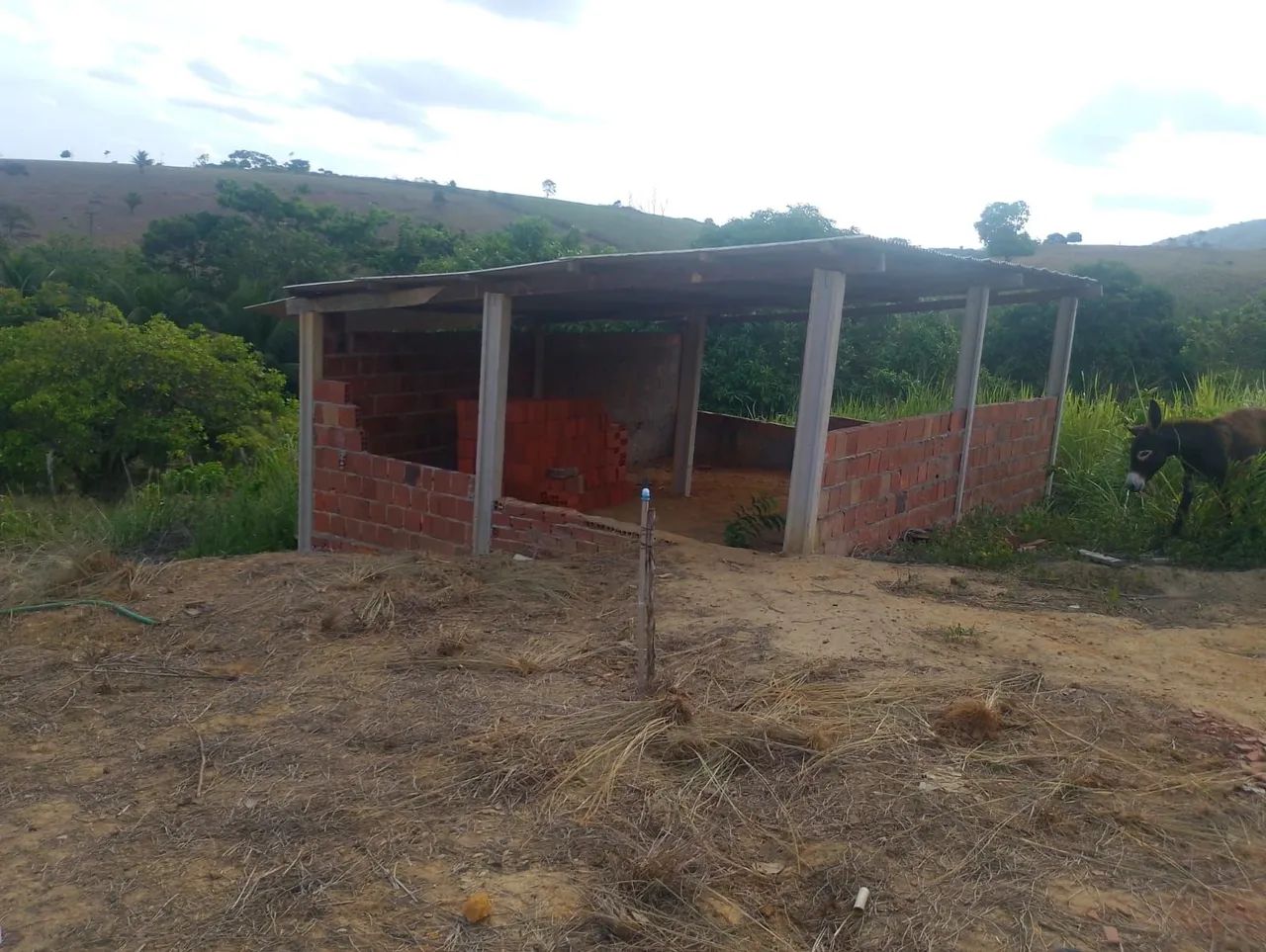 Sitio em flexeiras 6 km fora do asfalto * - Foto 2