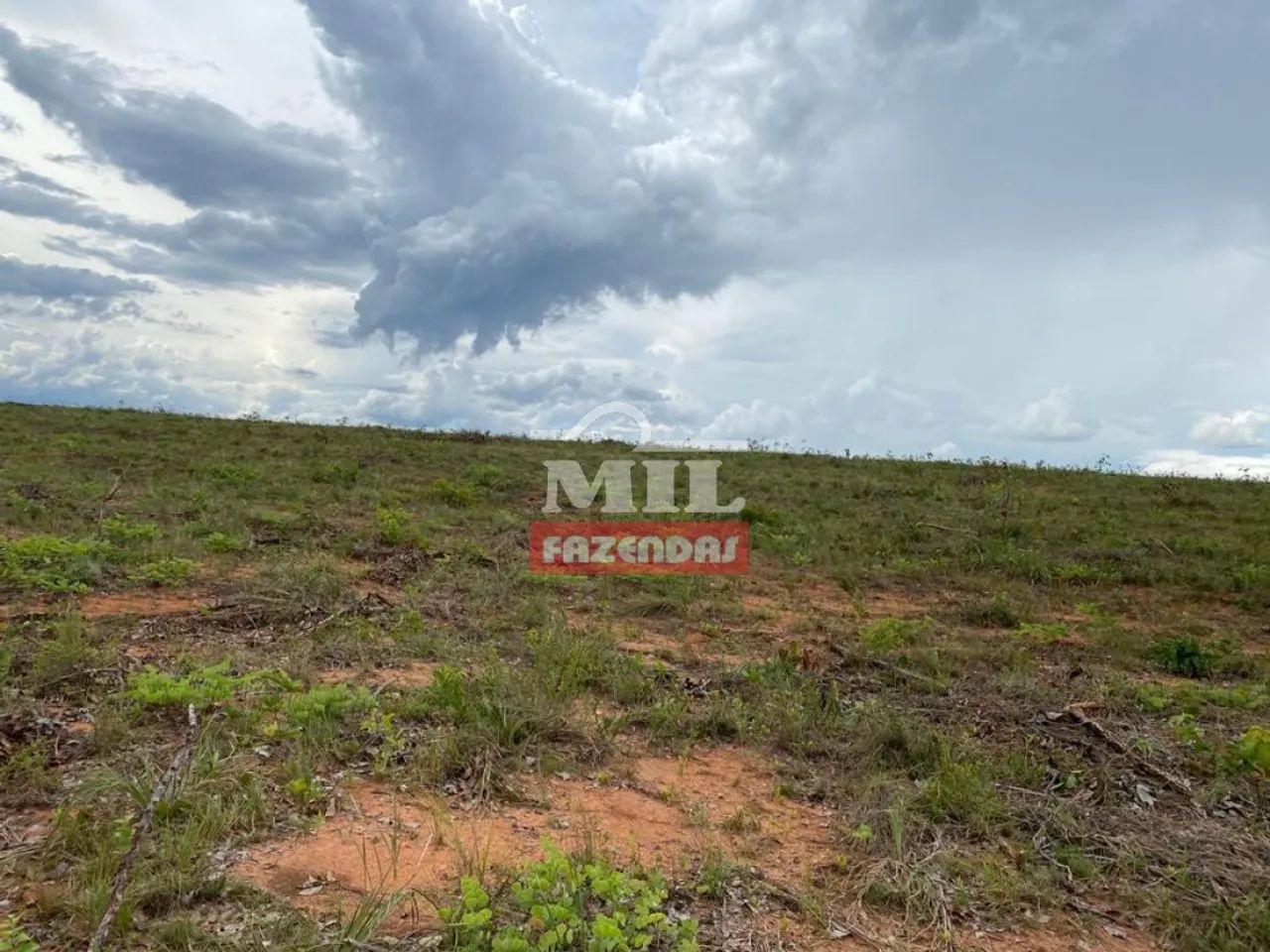 Fazenda Barata com Lavoura em Mambaí-GO. - Foto 4
