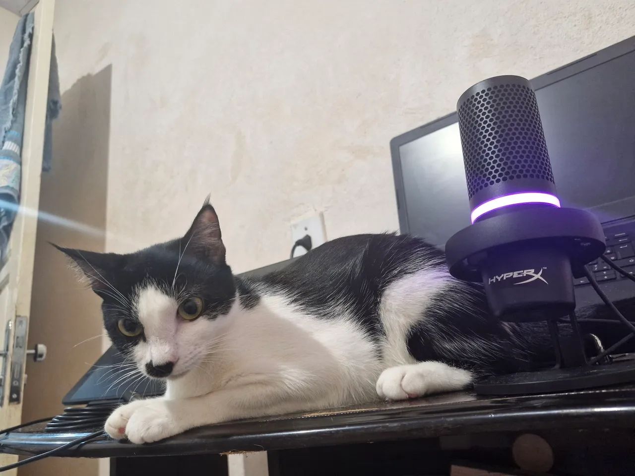 HyperX DuoCast 