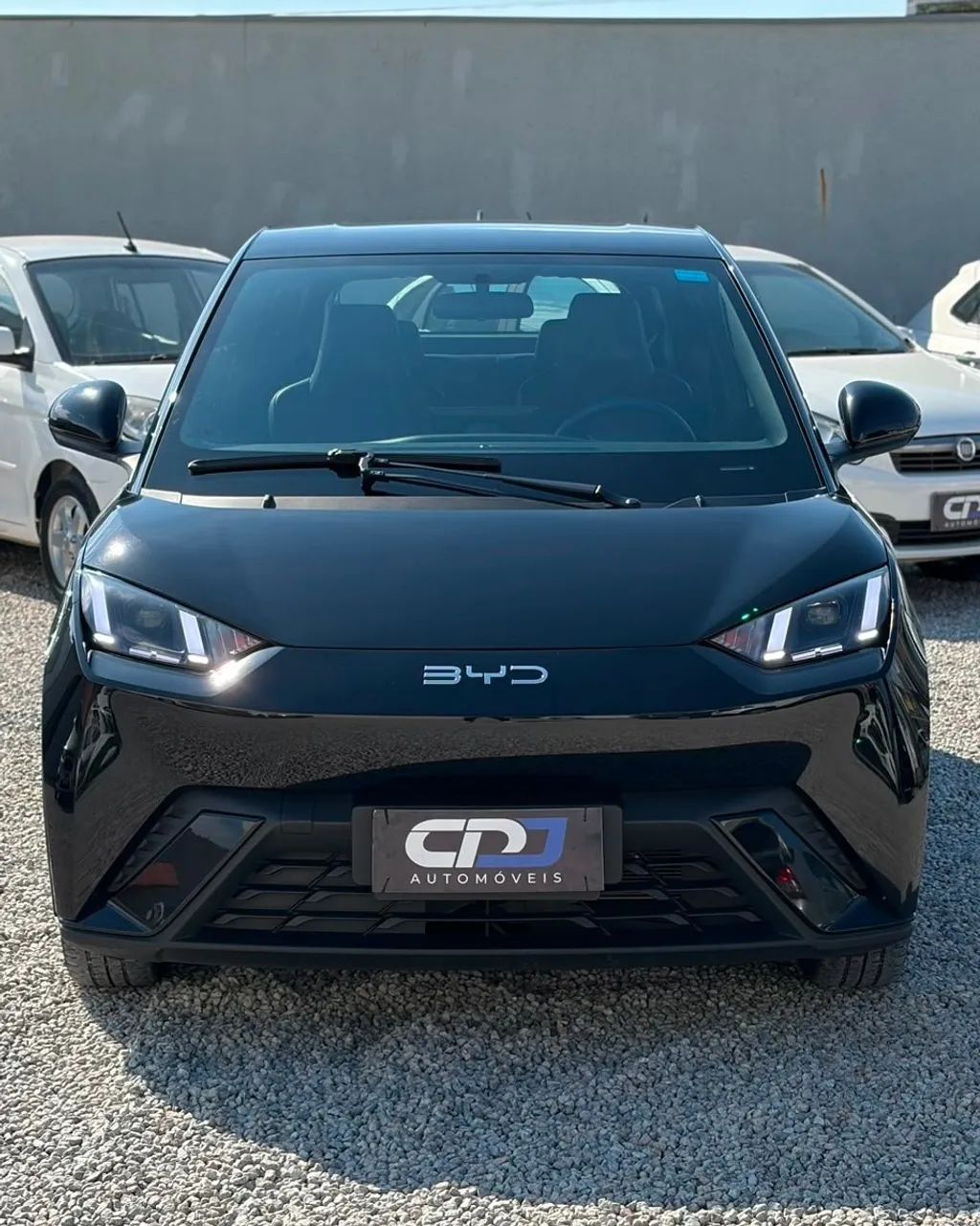 BYD Dolphin Mini (Elétrico) 2025 - Foto 2
