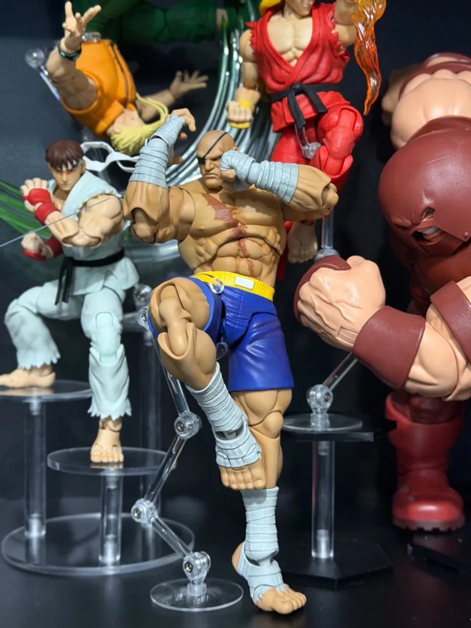 Sagat Storm Arena