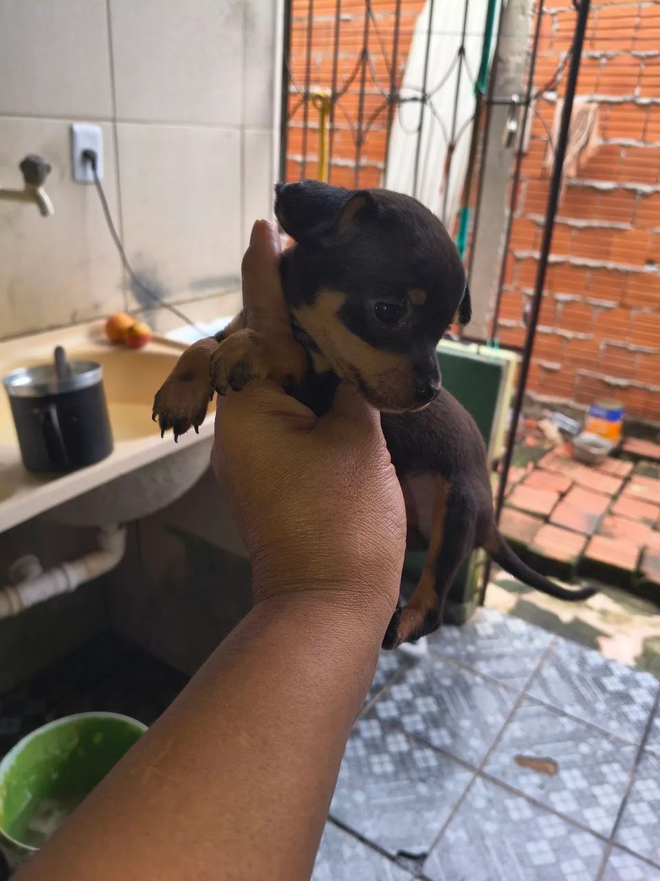 SO VENDAS - Foto 2