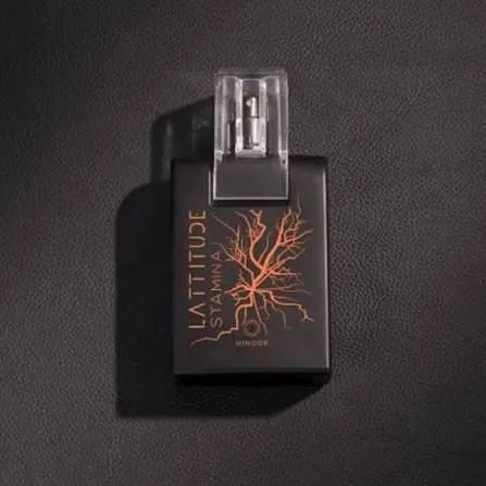 Vendo Latitude Stamina com urgência - Foto 2