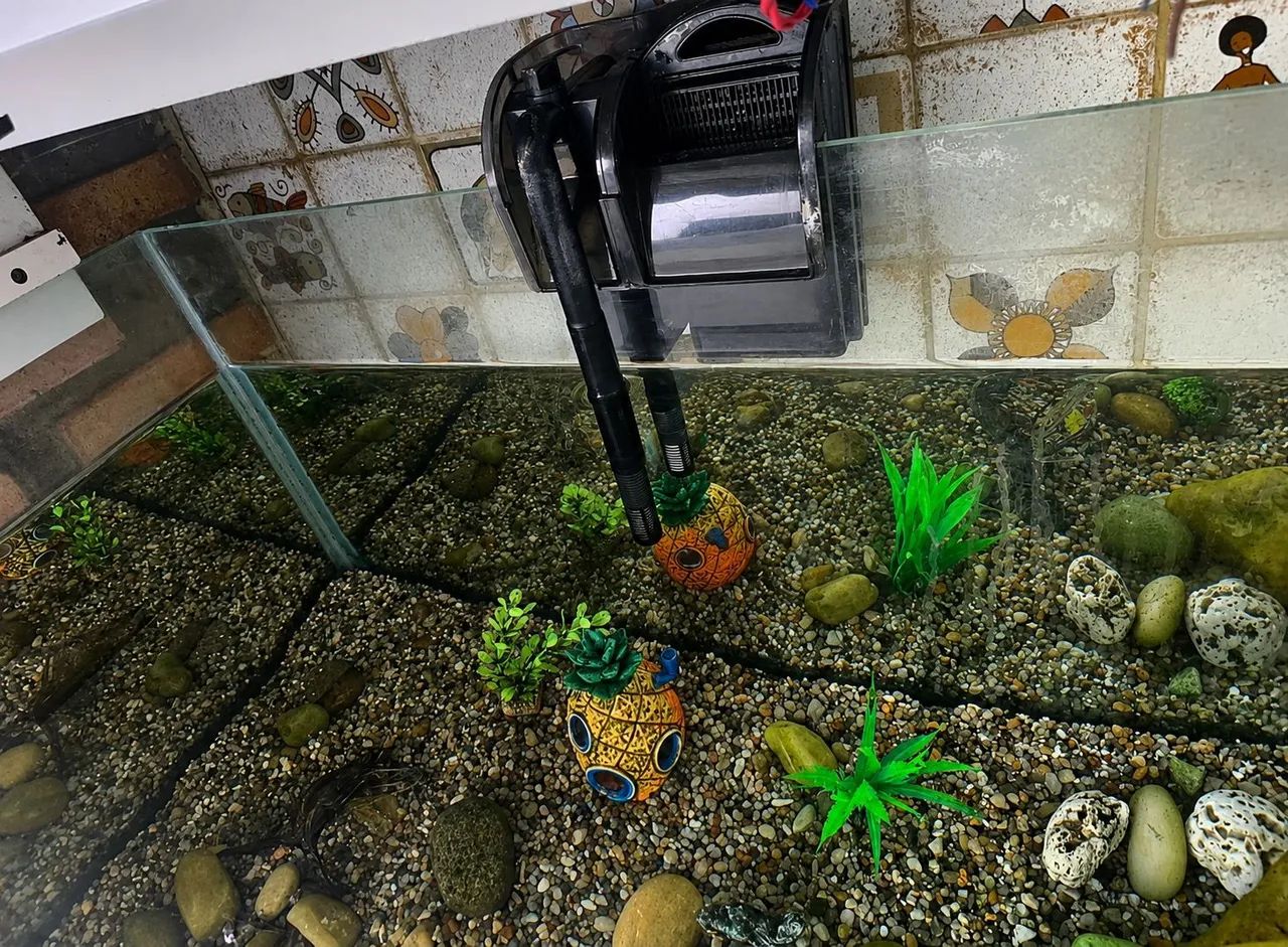 Aquário Jumbo 125L completo - Foto 2