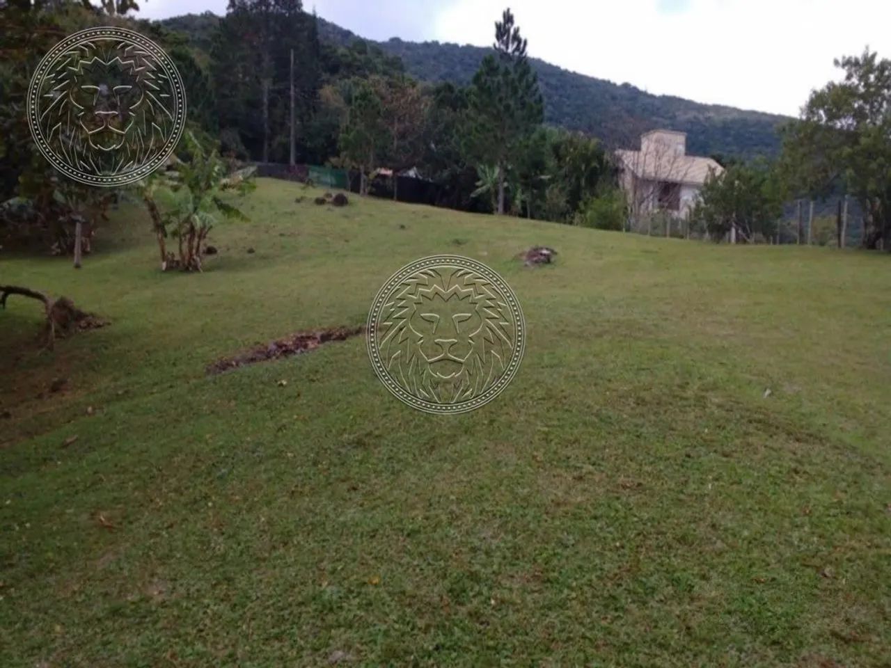 Terreno Pé na Areia no Ribeirão da Ilha em Florianópolis - Foto 5