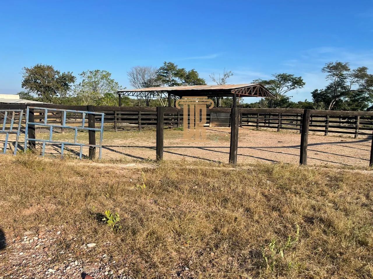 Fazenda de 72 alqueires na Região de Centenário Tocantins - Foto 5