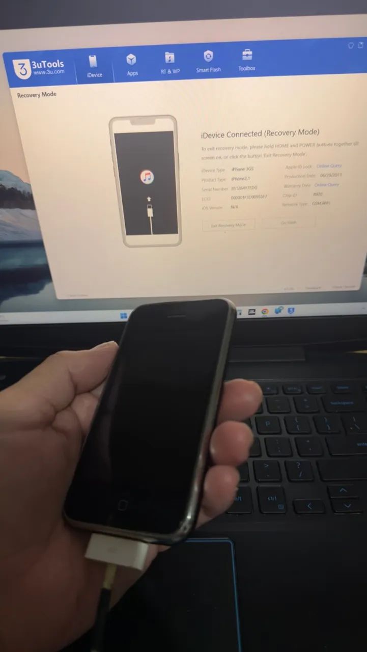 iPhone 3GS 