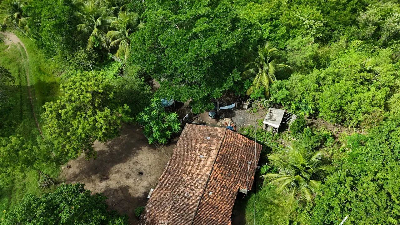 granja com 12.5 hectares plantada e com rio perene e com poço tubular na grande natal - Foto 3