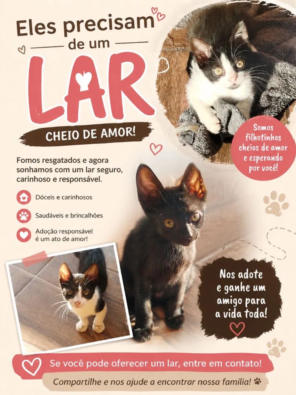 Precisamos de um lar  - Foto 2
