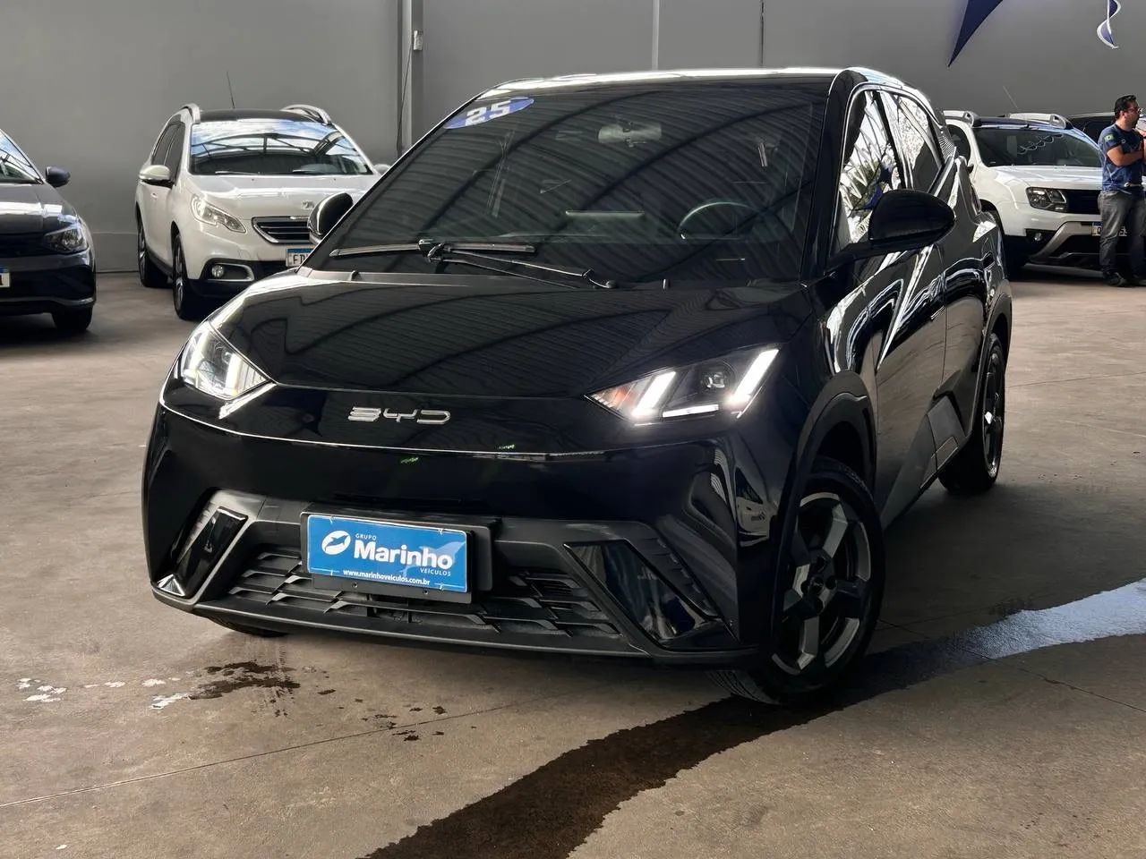 BYD Dolphin Mini (Elétrico) 2025 - Foto 2