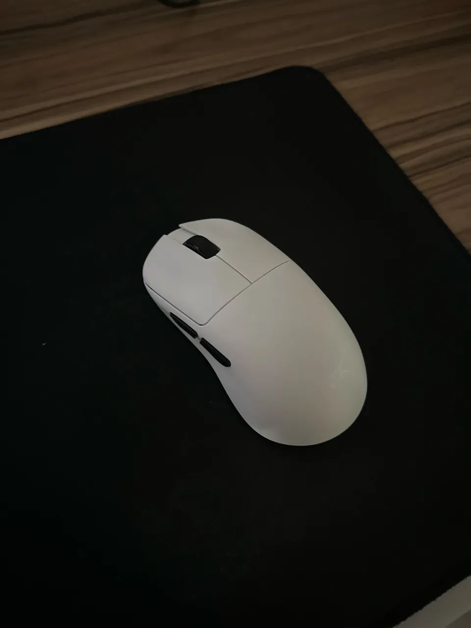 Mouse