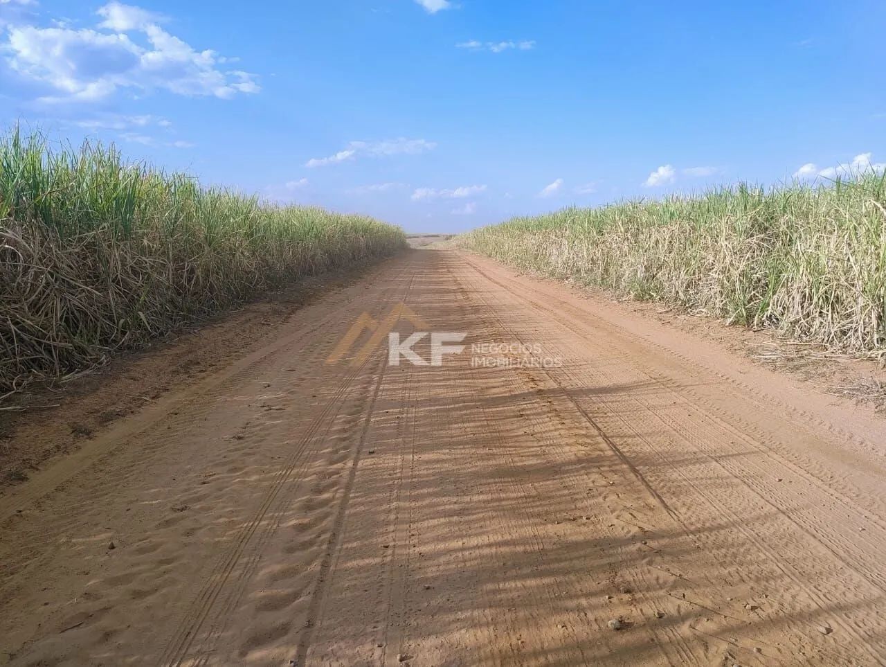Fazenda a Venda em Mococa- SP - Foto 3