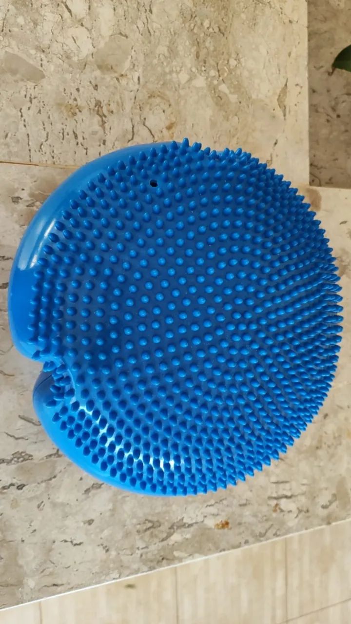 DISCO DE PROPRIOCEPÇÃO