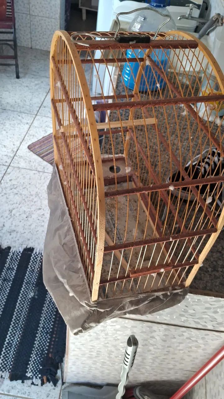 Gaiolas65578343082113120